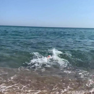 Video by itsoliheart published on May 16,2023 21:17:00 - BestThots