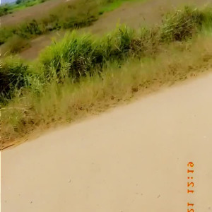 alexacantutrans #4086624