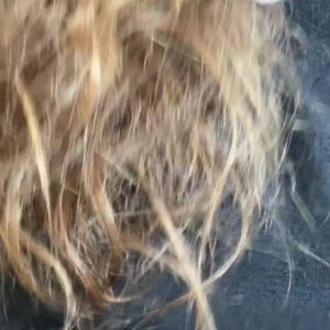 Video by crazyfishgoescrazy published on August 26,2023 16:05:29 - BestThots