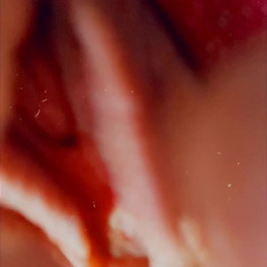 Video by lourdesnoir-xxx published on June 10,2023 18:38:00 - BestThots