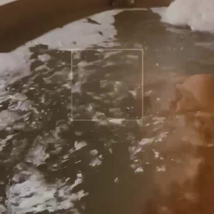 Video by jessie_texas published on March 23,2023 18:55:00 - BestThots