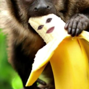 Video by melissablake published on June 23,2023 05:45:00 - BestThots