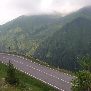 Video by melissablake published on June 18,2023 07:14:00 - BestThots