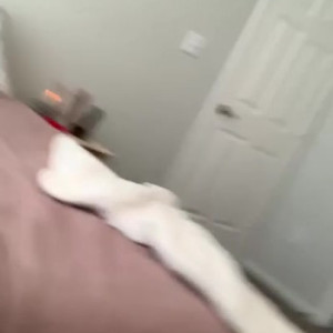 officialcclionx #5674207