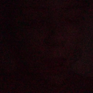 Video by jasminheaney published on July 17,2023 20:11:00 - BestThots