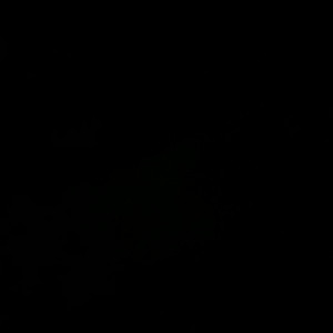 Video by chelxie published on March 14,2023 07:06:00 - BestThots