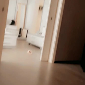 Video by chelxie published on May 15,2023 02:28:00 - BestThots