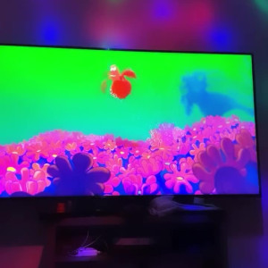 Video by chelxie published on March 10,2023 18:50:00 - BestThots