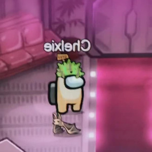 Video by chelxie published on June 27,2023 07:29:00 - BestThots