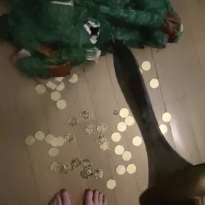 Video by chelxie published on May 14,2023 07:05:00 - BestThots