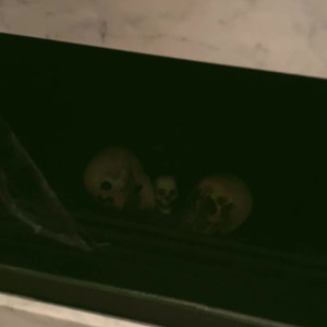 Video by chelxie published on July 21,2023 09:15:00 - BestThots