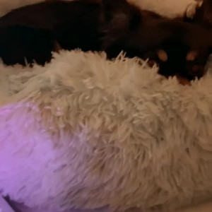 Video by chelxie published on July 22,2023 08:41:00 - BestThots