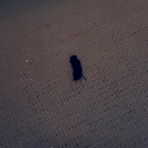 Video by chelxie published on June 23,2023 15:14:00 - BestThots
