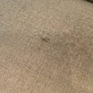 Video by chelxie published on June 18,2023 19:40:00 - BestThots