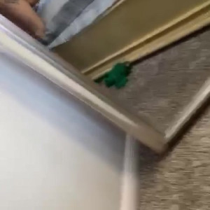 Video by tinylove143 published on March 27,2023 15:51:00 - BestThots