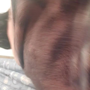 Video by babyygoree97 published on July 11,2023 03:47:00 - BestThots