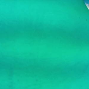 Video by kateengland21 published on May 19,2023 02:25:00 - BestThots
