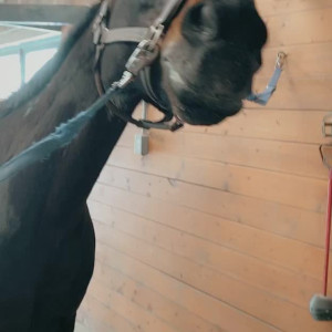 nadiafoxx69 #3641847