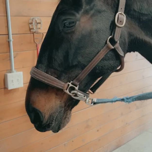 Video by nadiafoxx69 published on August 7,2023 19:17:00 - BestThots