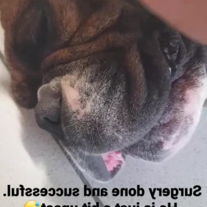 Video by maria-wattel published on May 2,2023 13:56:00 - BestThots