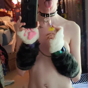catgod.x #4882855