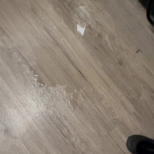 Video by apolonialapiedra published on May 24,2023 16:59:00 - BestThots