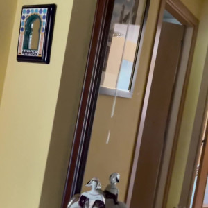 Video by apolonialapiedra published on April 5,2023 05:35:00 - BestThots