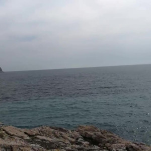 Video by apolonialapiedra published on May 14,2023 19:15:00 - BestThots