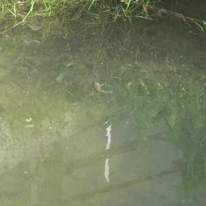 Video by cinderelastory published on March 4,2023 21:17:00 - BestThots