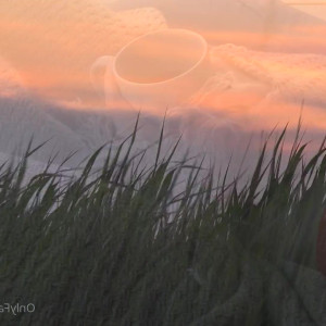 Video by cinderelastory published on August 20,2023 15:10:00 - BestThots