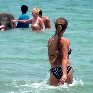 Video by cinderelastory published on June 8,2023 15:35:00 - BestThots