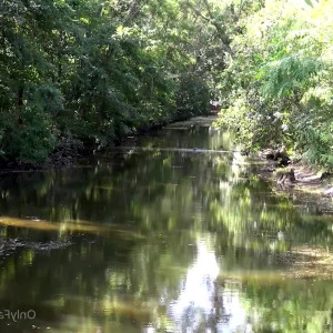 Video by cinderelastory published on May 6,2023 11:32:00 - BestThots