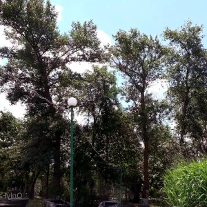 Video by cinderelastory published on April 25,2023 07:15:00 - BestThots