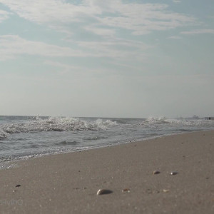 Video by cinderelastory published on March 9,2023 00:16:00 - BestThots