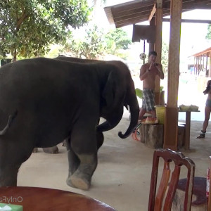 Video by cinderelastory published on May 20,2023 00:52:00 - BestThots