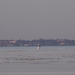 Video by cinderelastory published on May 4,2023 12:17:00 - BestThots