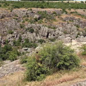 Video by cinderelastory published on April 27,2023 02:18:00 - BestThots