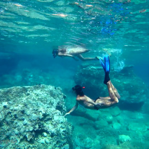 Video by cinderelastory published on May 2,2023 12:58:00 - BestThots