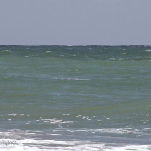 Video by cinderelastory published on July 28,2023 03:30:00 - BestThots