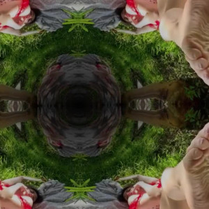 Video by soyarerojas published on April 15,2023 20:25:00 - BestThots