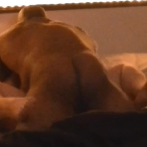 Video by sashaandbear published on April 1,2023 13:02:00 - BestThots