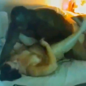 Video by sashaandbear published on August 28,2023 22:54:00 - BestThots