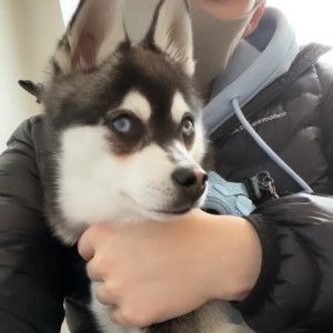 Video by freefrost published on May 19,2023 15:37:00 - BestThots