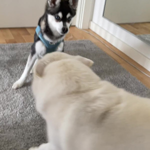 Video by freefrost published on May 31,2023 18:36:00 - BestThots