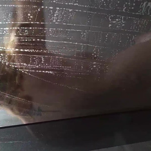 Video by zepam published on March 18,2023 20:42:00 - BestThots