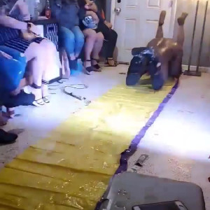 Video by toolsfreepage published on March 6,2023 16:13:00 - BestThots