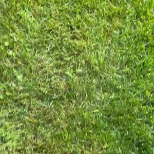 Video by sophiaisspoiled published on April 27,2023 14:04:00 - BestThots
