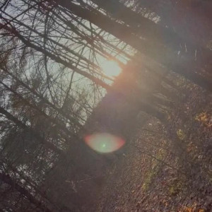 Video by sophiaisspoiled published on May 17,2023 01:31:00 - BestThots