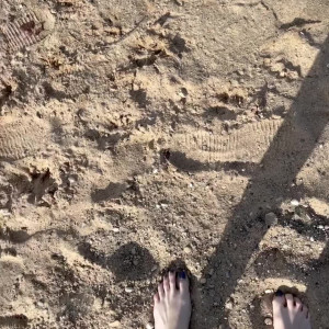 Video by sophiaisspoiled published on August 11,2023 20:13:00 - BestThots