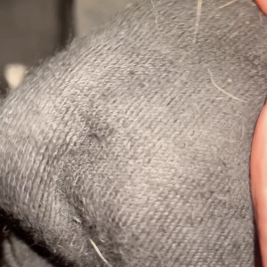 Video by sophiaisspoiled published on June 28,2023 03:30:00 - BestThots